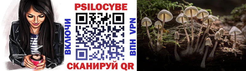 ссылка на мегу как войти  Калач-на-Дону  Галлюциногенные грибы Magic Shrooms  где найти наркотики 